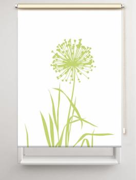 Rollo Allium 24 blanco Apfel, Rollo, Motivrollo, Rollo mit Druck, Fotorollo, bedrucktes Rollo, Fensterrollo,verdunkelndes Rollo, Sonnenschutz Rollo